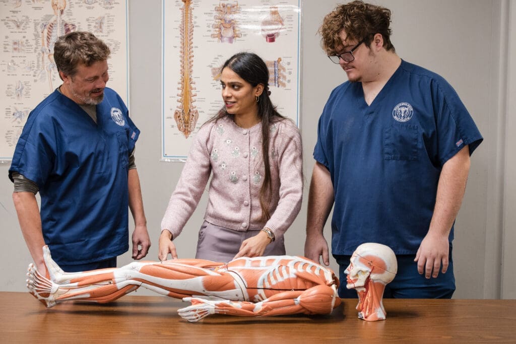 Massage therapy students studying anatomy